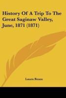 History Of A Trip To The Great Saginaw Valley, June, 1871 (1871)