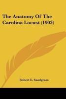The Anatomy Of The Carolina Locust (1903)