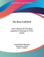 The Bean Ladybird