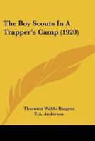 The Boy Scouts In A Trapper's Camp (1920)