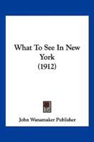 What To See In New York (1912)