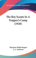 The Boy Scouts In A Trapper's Camp (1920)