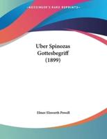 Uber Spinozas Gottesbegriff (1899)
