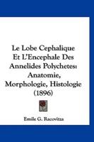 Le Lobe Cephalique Et L'Encephale Des Annelides Polychetes