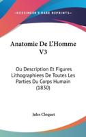 Anatomie De L'Homme V3