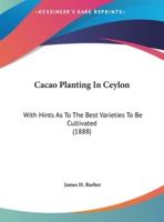 Cacao Planting In Ceylon