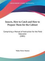 Insects, How to Catch and How to Prepare Them for the Cabinet