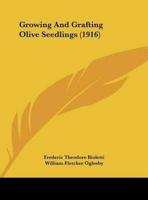 Growing And Grafting Olive Seedlings (1916)