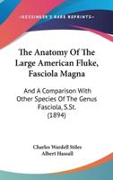 The Anatomy of the Large American Fluke, Fasciola Magna
