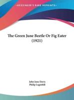 The Green June Beetle or Fig Eater (1921)