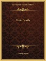 Celtic Druids