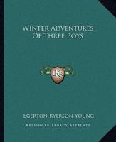 Winter Adventures Of Three Boys