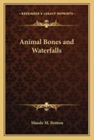 Animal Bones and Waterfalls