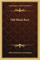 Old Black Bass