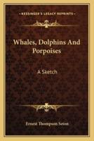 Whales, Dolphins And Porpoises