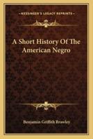 A Short History Of The American Negro