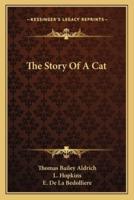 The Story Of A Cat