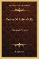 Phases of Animal Life