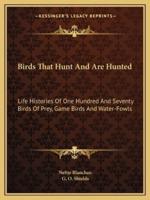 Birds That Hunt And Are Hunted