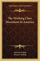 The Working Class Movement In America