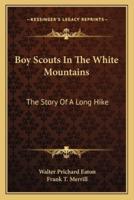 Boy Scouts In The White Mountains