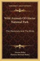 Wild Animals Of Glacier National Park