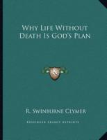 Why Life Without Death Is God's Plan