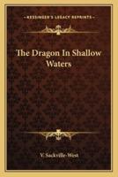 The Dragon In Shallow Waters