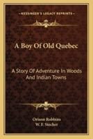 A Boy Of Old Quebec
