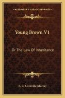 Young Brown V1