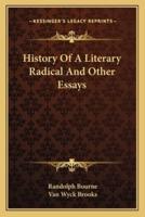 History Of A Literary Radical And Other Essays