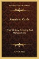 American Cattle