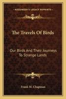 The Travels Of Birds