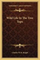Wild Life In The Tree Tops