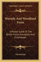 Wayside And Woodland Ferns