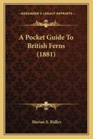A Pocket Guide To British Ferns (1881)