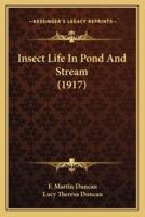 Insect Life In Pond And Stream (1917)