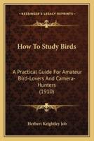 How To Study Birds