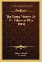 The Young Visiters Or Mr. Salteena's Plan (1919)