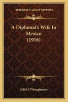 A Diplomat's Wife In Mexico (1916)