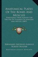 Anatomical Plates Of The Bones And Muscles