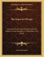The Negro In Chicago