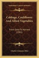 Cabbage, Cauliflower And Allied Vegetables