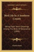 Bird Life in a Southern County