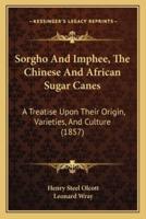 Sorgho And Imphee, The Chinese And African Sugar Canes