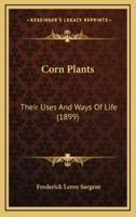 Corn Plants