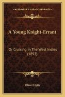 A Young Knight-Errant