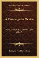 A Campaign In Mexico