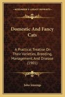 Domestic And Fancy Cats