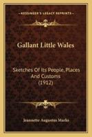 Gallant Little Wales